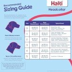 HALTI Headcollar Size 3 for Medium Dogs
