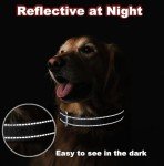 Adjustable Reflective Dog Collar with Soft Padding