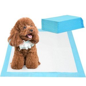 Large Super Absorbent Puppy Training Pads - 20 Pack