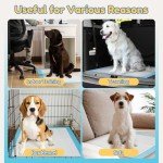 Large Super Absorbent Puppy Training Pads - 20 Pack