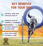 Pure MSM Powder for Dogs & Cats - Joint Support