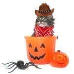 Dog Cowboy Costume with Hat and Bandana