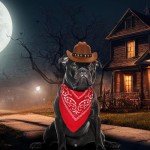 Dog Cowboy Costume with Hat and Bandana