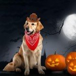 Dog Cowboy Costume with Hat and Bandana