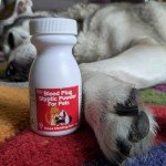 Pet Styptic Powder for Nail Trimming - 50g