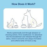 Natural Plaque Remover Powder for Dogs & Cats