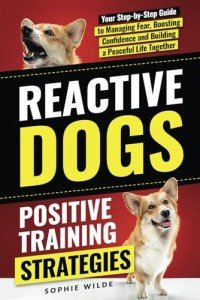 Positive Training for Reactive Dogs: Your Guide