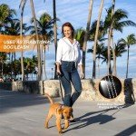 Adjustable Dog Car Seat Belts - 2 Pack