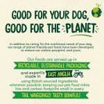 Naturediet Wet Dog Food - Lamb, 390g (Pack of 18)