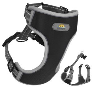 Dawn Dog Medium Harness: Soft, Reflective & Escape-Proof