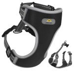 Dawn Dog Medium Harness: Soft, Reflective & Escape-Proof