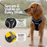 Dawn Dog Medium Harness: Soft, Reflective & Escape-Proof
