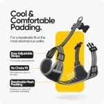 Dawn Dog Medium Harness: Soft, Reflective & Escape-Proof