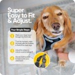 Dawn Dog Medium Harness: Soft, Reflective & Escape-Proof