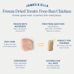 Freeze-Dried Chicken Dog Treats - 40g Pack