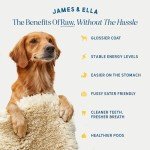 Freeze-Dried Chicken Dog Treats - 40g Pack