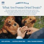 Freeze-Dried Chicken Dog Treats - 40g Pack