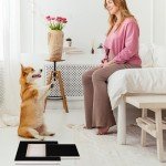 Dog Nail Scratch Board with Snack Box