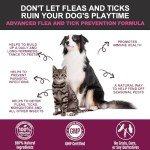 Natural Flea and Tick Chews for Dogs and Cats