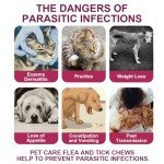 Natural Flea and Tick Chews for Dogs and Cats
