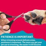 Mikki Grooming Care Set for Dogs and Cats