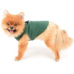 Cozy Green Fleece Vest for Small Dogs