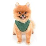 Cozy Green Fleece Vest for Small Dogs
