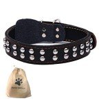SweetyMooMoo Leather Collar for Large Dogs - Black