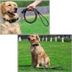 SweetyMooMoo Leather Collar for Large Dogs - Black