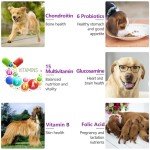 15-in-1 Chewable Dog Vitamins & Joint Support