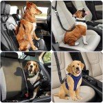 2-in-1 Adjustable Dog Car Seat Belt Harness
