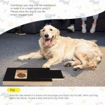 DASHUAIGE Multifunctional Dog Nail Scratch Board
