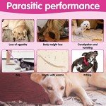 Yecuce Natural Flea & Tick Soft Chews for Dogs