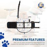 Paws Aboard Dog Life Jacket for Safe Swimming