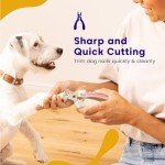 Dudi Pet Dog Nail Clippers and File Set