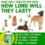 CANIVET Dog Joint Care Supplements - 300 Tablets