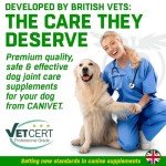 CANIVET Dog Joint Care Supplements - 300 Tablets