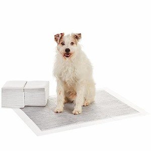 Amazon Basics Odour-Control Training Pads for Dogs