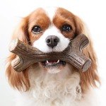 Benebone Chew Toy Set for Aggressive Chewers
