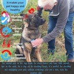 FurGroom Deshedding Tool for Dogs & Cats