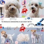 FurGroom Deshedding Tool for Dogs & Cats