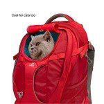 Kurgo G-Train Rucksack for Dogs – Waterproof & Versatile