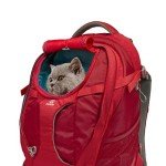 Kurgo G-Train Rucksack for Dogs – Waterproof & Versatile