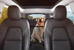 Dog Back Seat Cover for Car SUV Truck