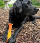 Nylabone Bacon & Cheese Power Chew Toy - X-Large