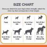 Nylabone Bacon & Cheese Power Chew Toy - X-Large