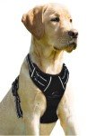No Pull Reflective Dog Harness for Large Dogs