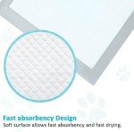 Super Absorbent Puppy Pads, 6-Pack, Leak-Free