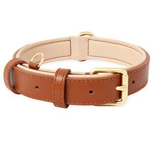 Adjustable Soft Leather Dog Collar for Small Dogs
