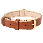 Adjustable Soft Leather Dog Collar for Small Dogs